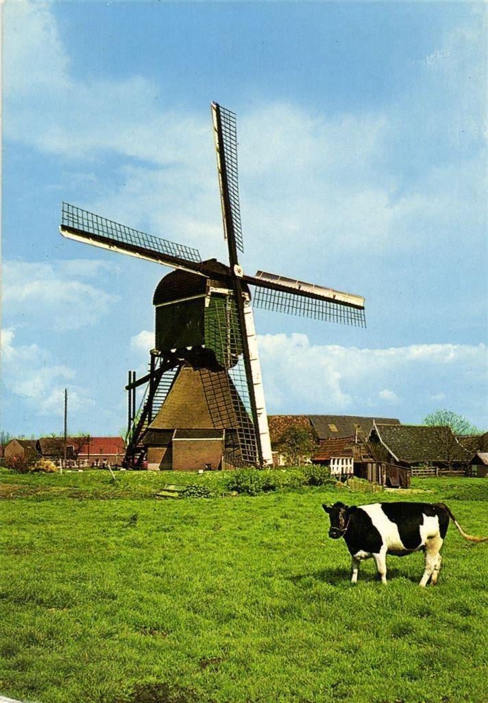 Bleskensgraaf, buurtschap Hofwegen - Poldermolen - 1977 gelo, Verzamelen, Ansichtkaarten | Nederland, Ongelopen, Noord-Brabant