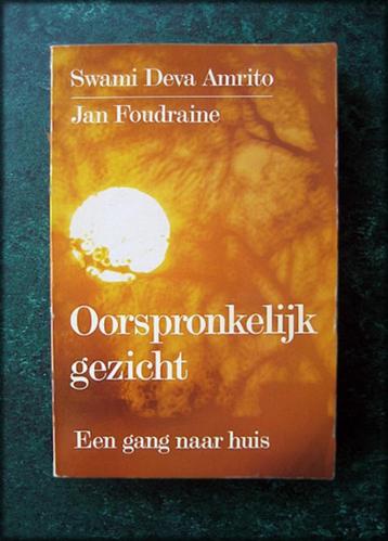 OORSPRONKELIJK GEZICHT een gang naar huis - Jan Foudraine beschikbaar voor biedingen