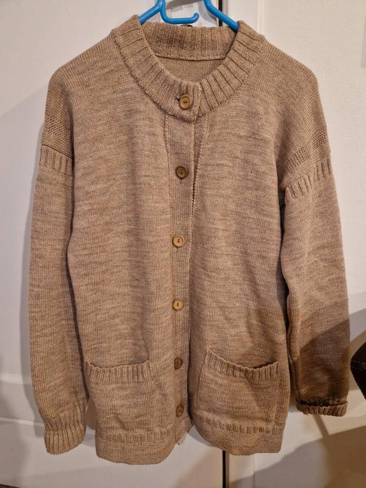 Island Knitwear wollen vest - Maat 42, Kleding | Dames, Truien en Vesten, Zo goed als nieuw, Maat 42/44 (L), Beige, Verzenden