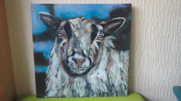 schilderij ouessant schaap, acrylverf op doek, lage prijs, Antiek en Kunst, Kunst | Schilderijen | Modern, Verzenden