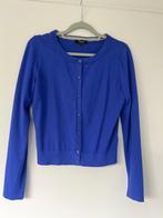 Vest Claudia Sträter maat 34-36, Kleding | Dames, Truien en Vesten, Blauw, Ophalen of Verzenden, Zo goed als nieuw, Claudia Sträter