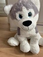 Knuffel hond, Ophalen, Zo goed als nieuw, Hond