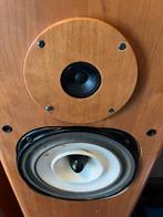 Horning Perikles hoorn speakers, Audio, Tv en Foto, Luidsprekers, Gebruikt, Hørning Hybrid Corner Horn Productions, Onbekend, 60 tot 120 watt