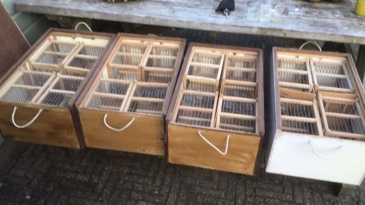 Zangkooitjes zangkanaries, Dieren en Toebehoren, Vogels | Hokken en Kooien, Zo goed als nieuw, Vogelkooi, Ophalen of Verzenden