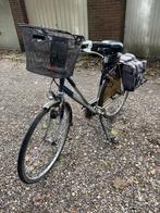 Damesfiets met mand en fietstassen koga, Versnellingen, Ophalen, Overige merken, 53 tot 56 cm