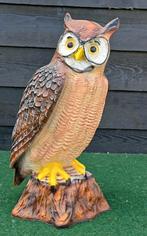 Grote Uil Tuinbeeld, Ophalen, Nieuw, Kunststof, Dierenbeeld