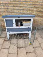 Konijnenhok met 2 dwergkonijntjes!, Minder dan 75 cm, Zo goed als nieuw, Hok, Ophalen