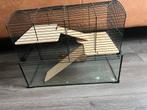 Hamsterkooi, Dieren en Toebehoren, Minder dan 60 cm, Kooi, Minder dan 75 cm, Ophalen of Verzenden