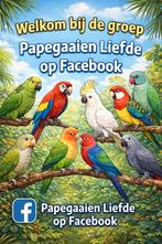 Welkom bij de groep, Meerdere dieren, Papegaai
