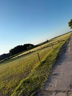 Stalling en weidegang aangeboden, Weidegang