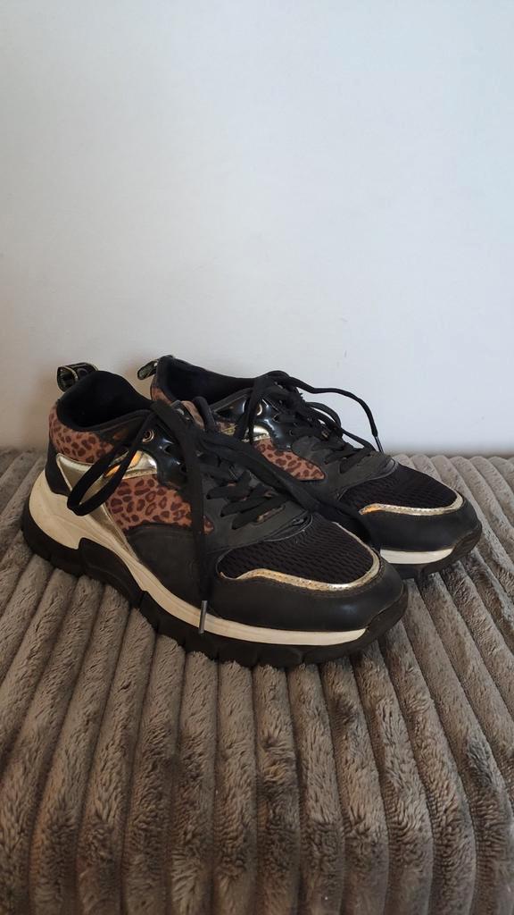 Lage sneakers - zwart/panter/goud - maat 37, Kleding | Dames, Schoenen, Gedragen, Sneakers of Gympen, Zwart, Ophalen of Verzenden