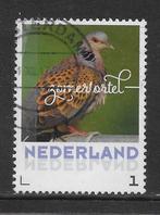 Persoonlijke, Vogels, Zomertortel (K0325), Ophalen of Verzenden