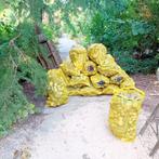 haardhout, Tuin en Terras, Haardhout, Minder dan 3 m³, Ophalen, Overige houtsoorten, Stammen