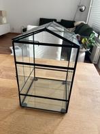 Glazen kweekkas, Tuin en Terras, Kweekspullen, Ophalen, Zo goed als nieuw, Kweekkast