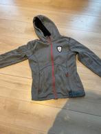 Kingsland vest maat M, Dieren en Toebehoren, Paardrijkleding, Gebruikt, Dressuur, Ophalen of Verzenden, Dames