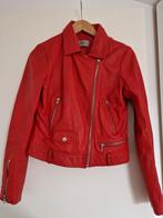 Rood leren jasje Ibana maat 38, Kleding | Dames, Maat 38/40 (M), Ophalen of Verzenden, Zo goed als nieuw, Rood