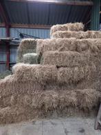 Super mooi hooi, Ophalen, Vee