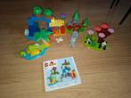 Lego duplo 3in1 wilde dieren, Ophalen of Verzenden, Zo goed als nieuw, Duplo
