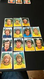 Roda jc panini vanderhout 1975-1976, Ophalen of Verzenden, Gebruikt, Roda JC, Poster, Plaatje of Sticker