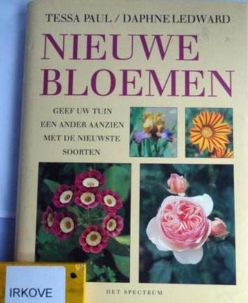 NIEUWE BLOEMEN * Tessa Paul en Daphne Ledward * beschikbaar voor biedingen