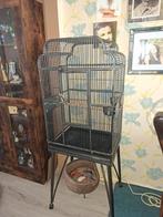 Vogelkooi papenngaaien kooi, Dieren en Toebehoren, Ophalen of Verzenden, Zo goed als nieuw, Metaal, Vogelkooi