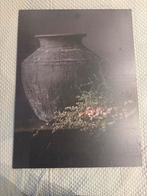 Muurplaat (MDF) Stoer & Sober 60x80, Ophalen, Zo goed als nieuw