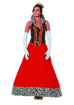 Jurk koningin maat 42, Ophalen of Verzenden, Zo goed als nieuw, Maat 42/44 (L), Carnaval