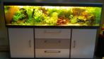aquariumplanten, Ophalen, Gebruikt, Plant(en), Steen of Hout