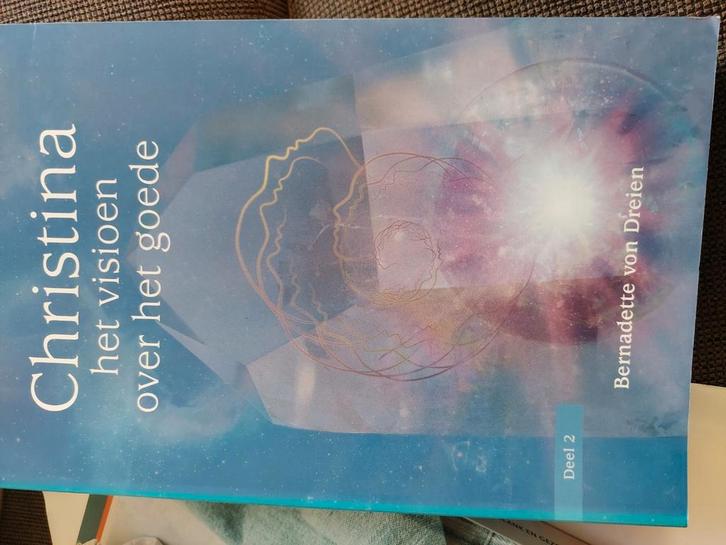 Bernadette von Dreien - Het visioen over het goede, Boeken, Esoterie en Spiritualiteit, Zo goed als nieuw, Spiritualiteit algemeen