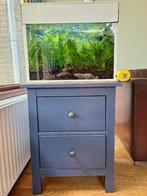 Aquarium 60 L compleet met meubel, Dieren en Toebehoren, Vissen | Aquaria en Toebehoren, Ophalen, Gebruikt, Gevuld zoetwateraquarium