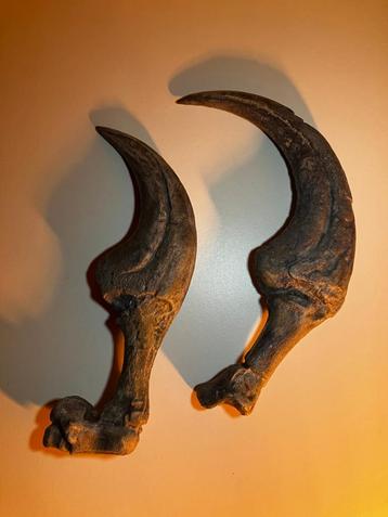 Replica Dinosaurus klauwen - Therizinosaurus beschikbaar voor biedingen