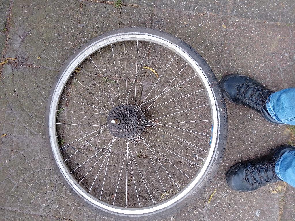 achterwiel  met cassette 8sp en rollerbrake 28 inch, Fietsen en Brommers, Fietsonderdelen, Gebruikt, Aluminium, Toerfiets, Ophalen
