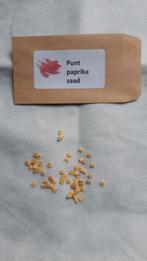 Puntparikazaad (60st.), Ophalen of Verzenden, Volle zon