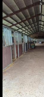 6 stallen en een loopstal/opfok stal te huur eigen beheer., Stalling, 4 paarden of pony's of meer