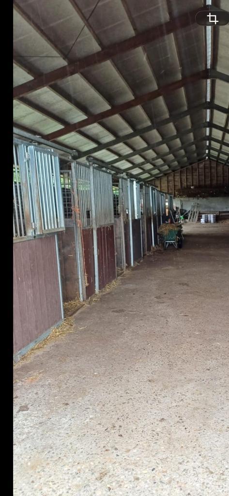 6 stallen en een loopstal/opfok stal te huur eigen beheer., Dieren en Toebehoren, Stalling en Weidegang, Opfok, Stalling, 4 paarden of pony's of meer