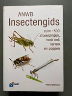ANWB Insectengids - Heiko Bellmann, Boeken, Ophalen of Verzenden, Zo goed als nieuw, Overige onderwerpen