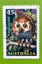 Uil, Ophalen of Verzenden, Dier of Natuur