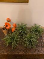 Plastic / kunst planten, alles bij elkaar €5, Ophalen, Gebruikt
