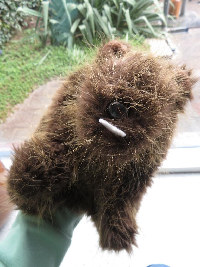 Handpop poppenkastpop van een BEVER pluche, Gebruikt, Overige typen, Ophalen of Verzenden, Middelgroot (20 tot 80 cm)