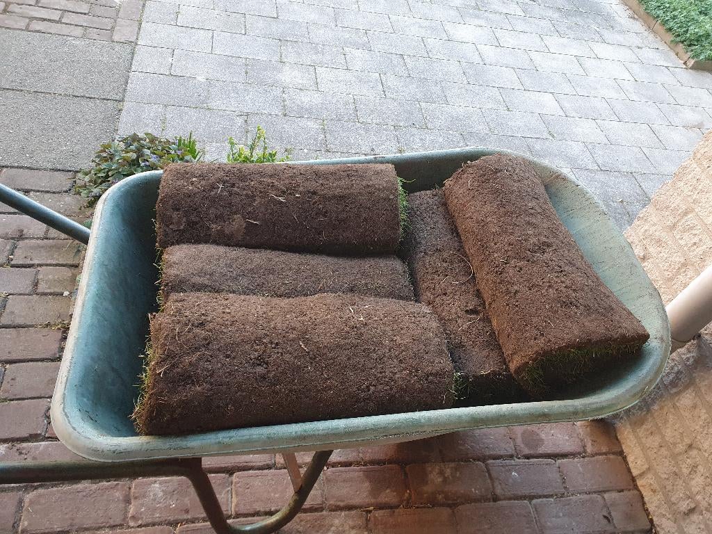 gras, Ophalen, Nieuw, Minder dan 10 m², Gras