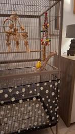 Binnen volière  taupe voor parkieten en kanarie., Ophalen of Verzenden, Volière