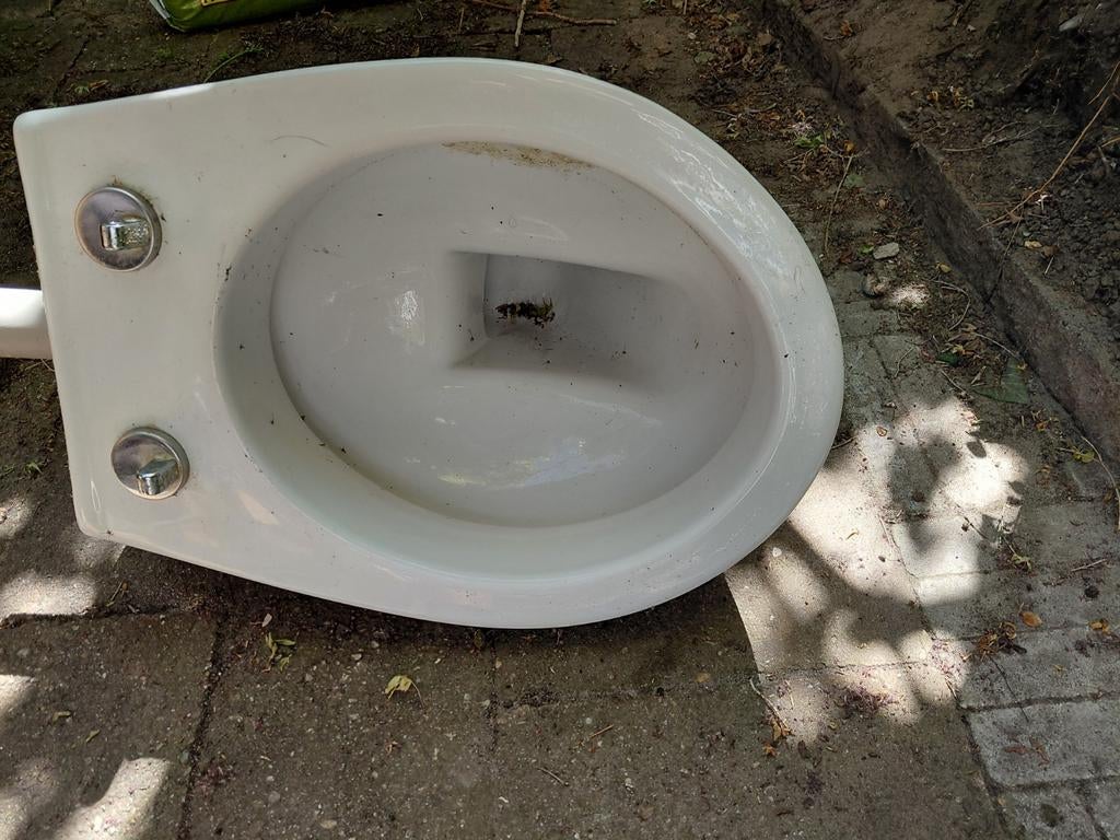 Zwevende WC-pot (zonder bril), onbeschadigd, Ophalen, Gebruikt, Toilet