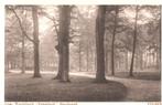 Oude ansichtkaart 22 Velsen Gem. wandelpark Velserbeek, Ophalen of Verzenden, 1920 tot 1940, Ongelopen, Noord-Holland