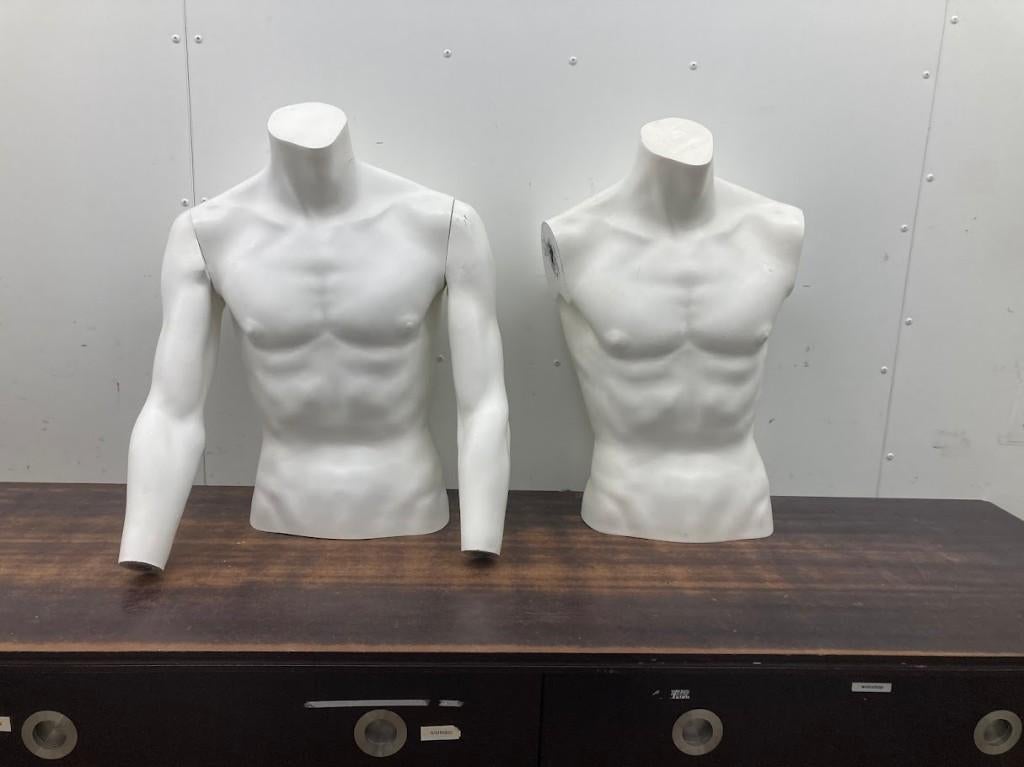 Diverse mannelijke torso's/ paspoppen met armen en benen, Ophalen, Gebruikt, Paspop