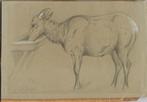 John Henry Smith tekening "Drinkend Lam" ca.1850, gesigneerd, Ophalen, Minder dan 50 cm, Gebruikt, Minder dan 50 cm