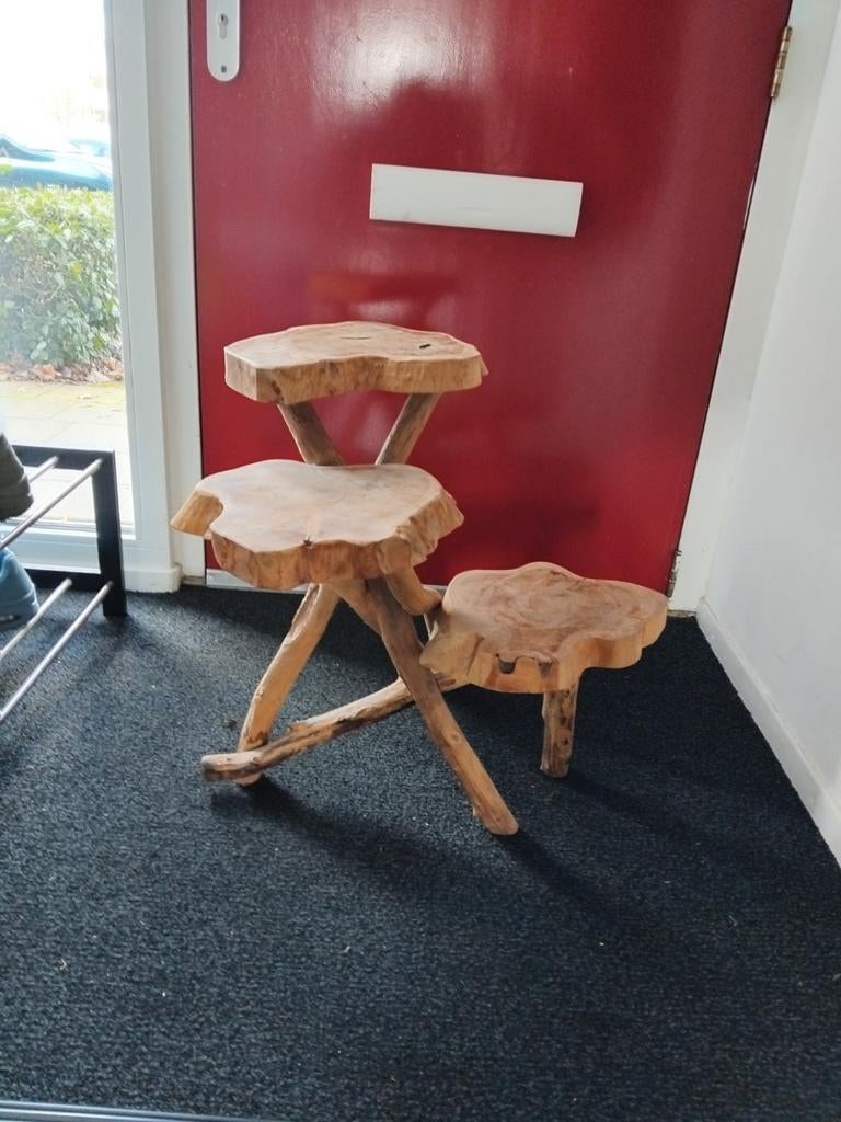 Unieke plantentafel/bijzettafel van Loods 5, Huis en Inrichting, Tafels | Bijzettafels, Ophalen, Gebruikt, 55 tot 75 cm, Uniek, natuurlijk