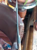 Antieke smeedijzeren harpoen 19e eeuws, Ophalen of Verzenden