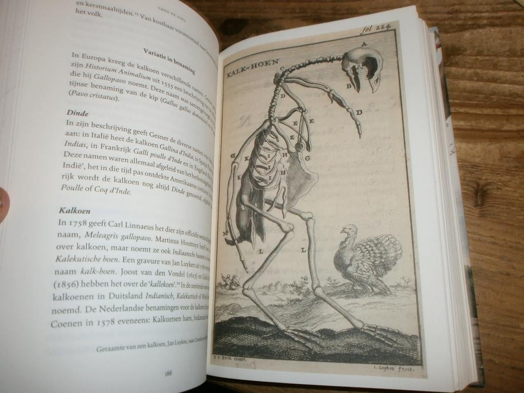 gevleugelde geschiedenis van nederland tijdreizen met fotos, Boeken, Ophalen of Verzenden, Nieuw