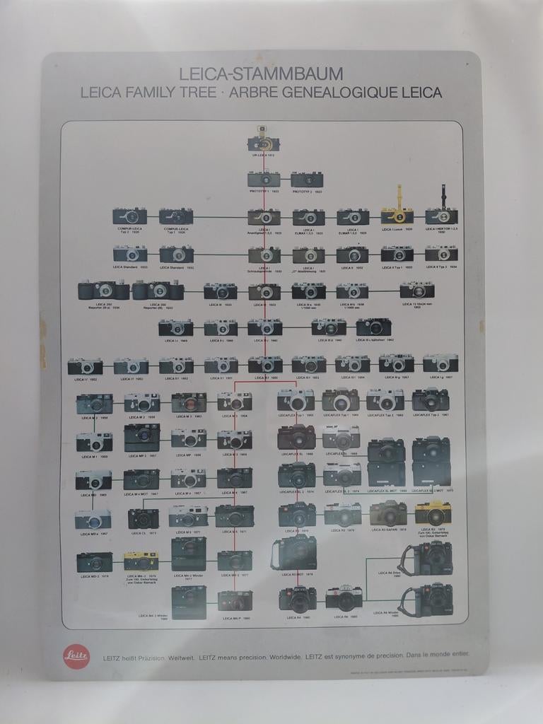 LEICA STAMMBAUM, Ophalen of Verzenden