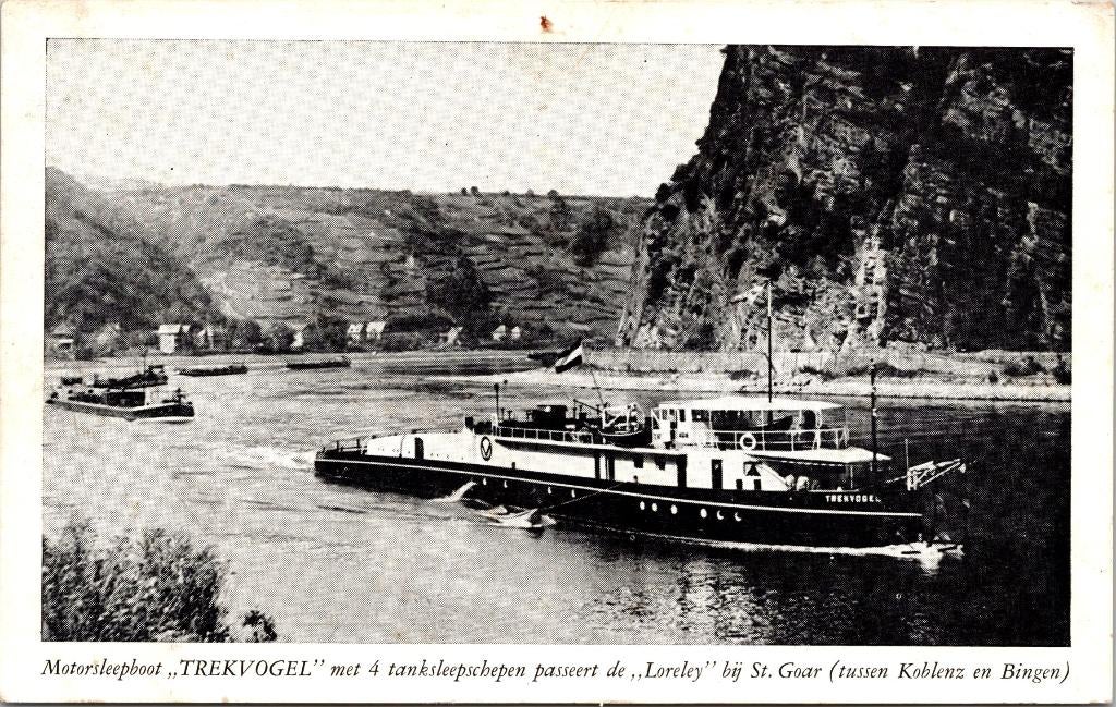 Rotterdam - Motorsleepboot Trekvogel, Verzenden, 1940 tot 1960, Ongelopen, Zuid-Holland